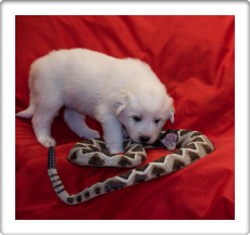 Capture One Session0346